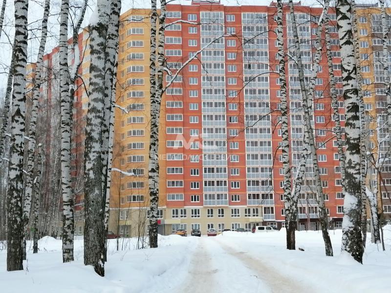 Квартира, Московская область, Ногинск, мкр Истомкино, Шибаевская улица, 1. Фото 1