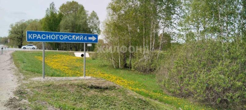 Коммерческая земля, Новосибирская область, пос. Красногорский, Дачная улица. Фото 1