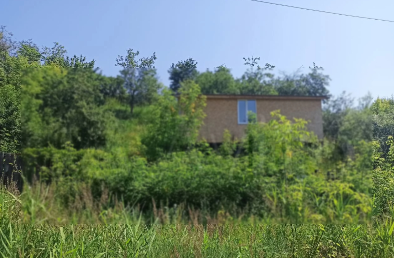 Дом, Республика Татарстан, Зеленодольск. Фото 1