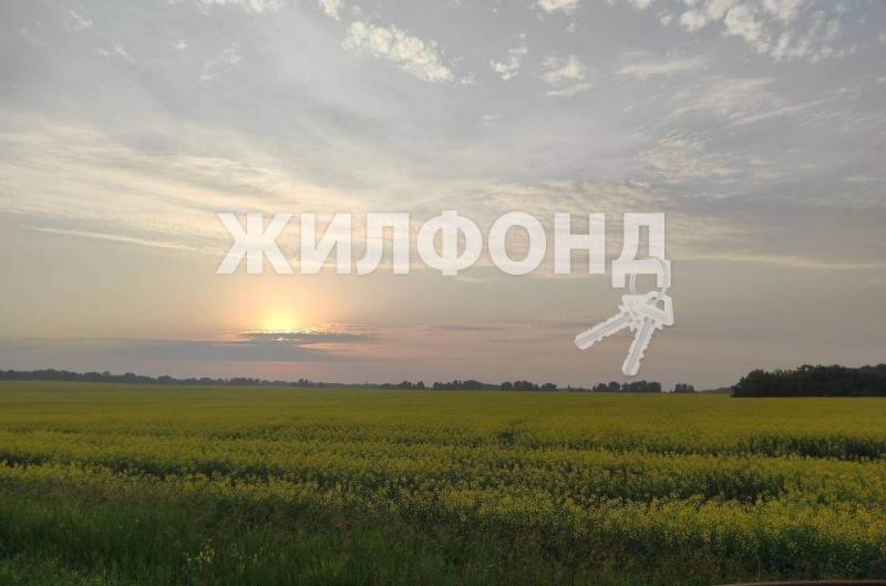 Земельный участок, Новосибирская область, пос Агролес, Парковая улица. Фото 1