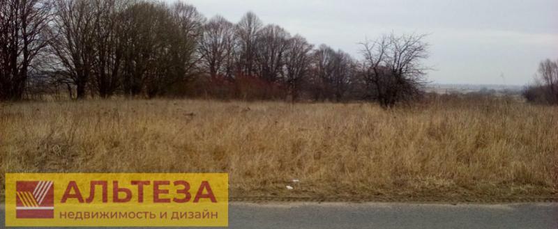 Земельный участок, Калининградская область, пос Прислово. Фото 1