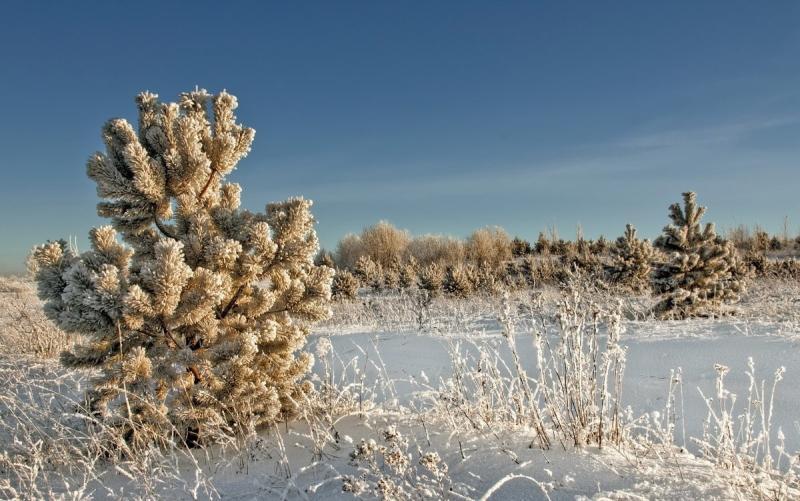 Земельный участок, Иркутская область, Байкальский тракт, 9-й километр. Фото 1