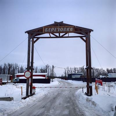 Земельный участок, Тюменская область, ДНТ Берёзовка, 7-я линия. Фото 1