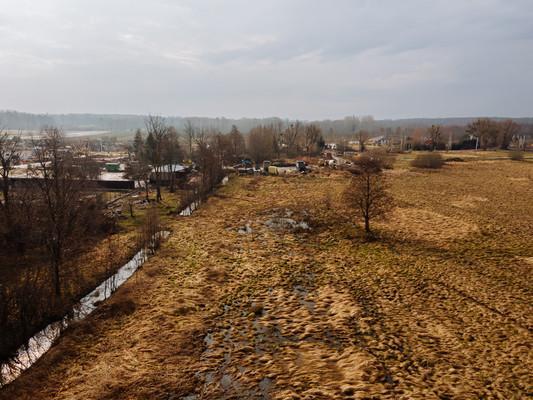 Земельный участок, Калининградская область, пос. Лесное. Фото 1