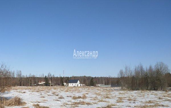 Земельный участок, Ленинградская область, пос Ромашки. Фото 1