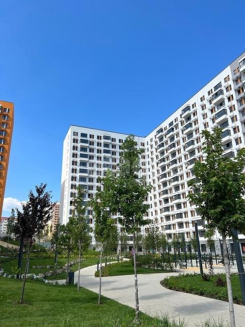 1-комнатная Квартира, 33.9 м2