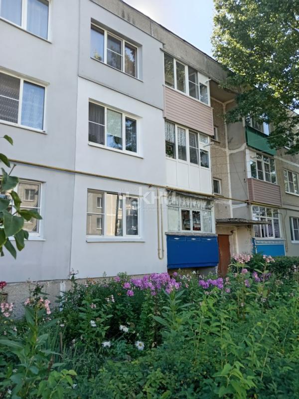 Квартира, Нижегородская область, с. Смольки, Новая улица, 5. Фото 1