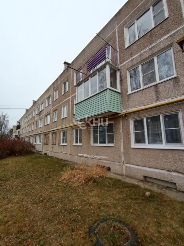 Квартира, Нижегородская область, с. Смольки, Новая улица, 3. Фото 1