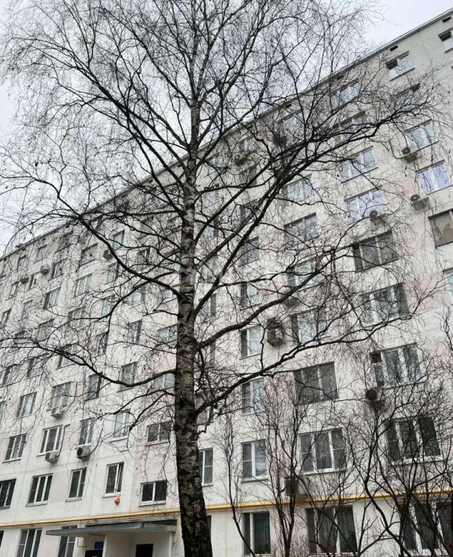 3-комнатная Квартира, 61.3 м2