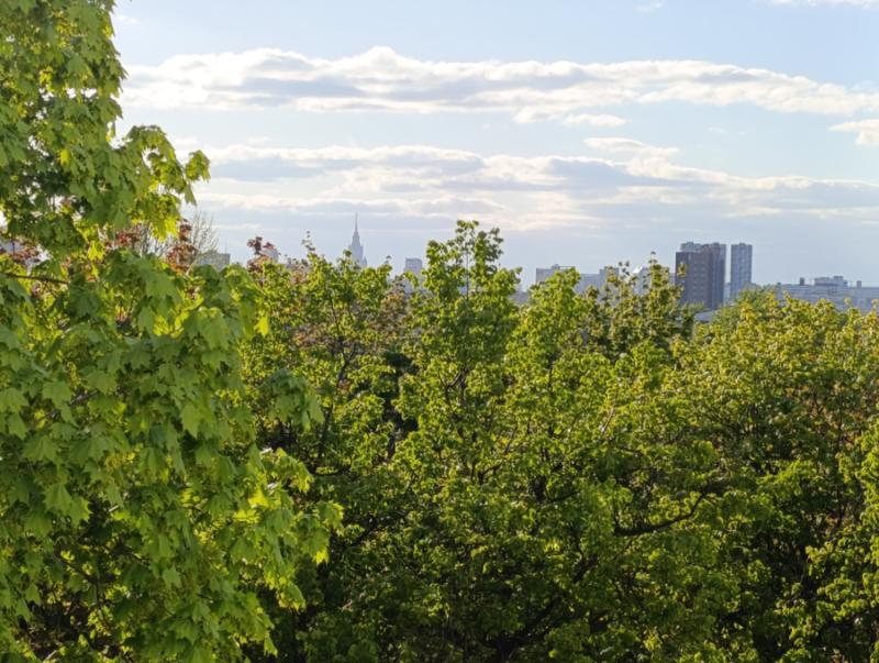 Квартира, Москва, Ленинский городской округ, ЮАО, р-н Чертаново Южное, Варшавское шоссе, 21-й километр, 55к1. Фото 1