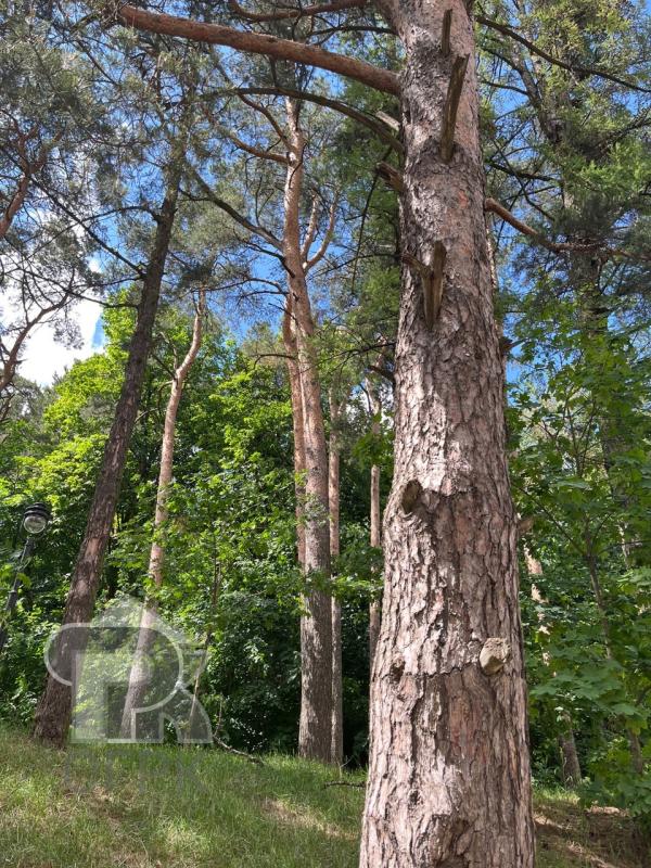 3-комн. квартира, 150 м², 5/7 этаж