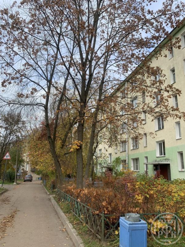 3-комн. квартира, 41 м², 4/5 этаж