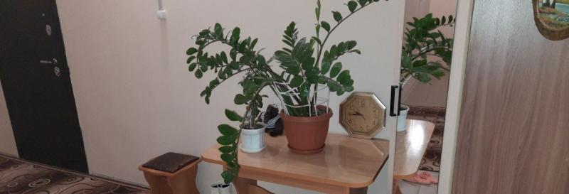 1-комн. квартира, 50 м², 1/10 этаж
