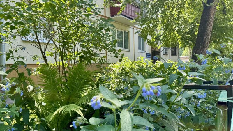 2-комн. квартира, 44 м², 4/5 этаж