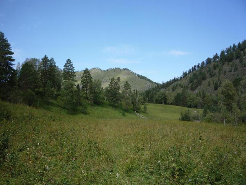 Производство, 650 м²