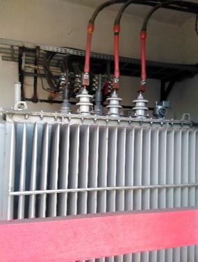 Производство, Московская область, пос. городского типа Томилино, мкр Птицефабрика, 12. Фото 3