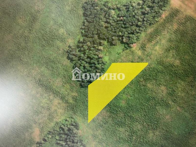 Коммерческая земля, Тюменская область, с. Кулига. Фото 1
