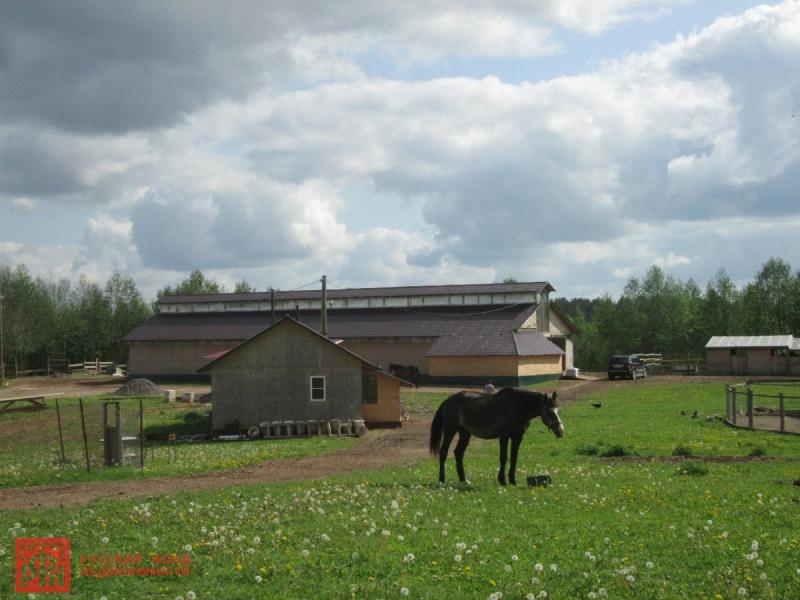 Коммерческая земля, Ленинградская область, дер. Бараново. Фото 1