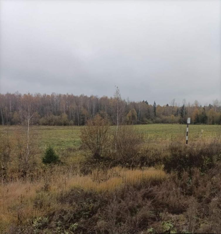 Коммерческая земля, 51.7 га.