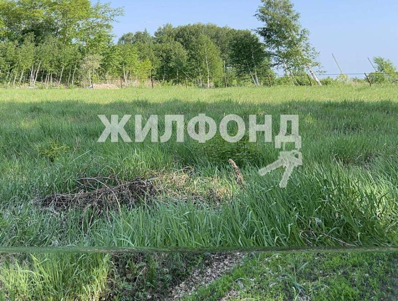 Коммерческая земля, Новосибирская область, садовое некоммерческое товарищество Архитектор, 17. Фото 1
