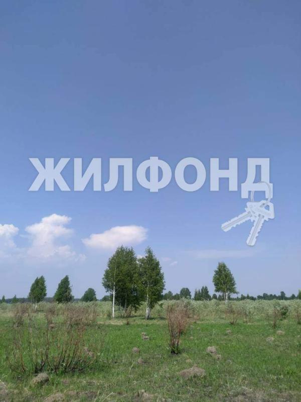 Коммерческая земля, Новосибирская область, пос. Воробьёвский. Фото 1
