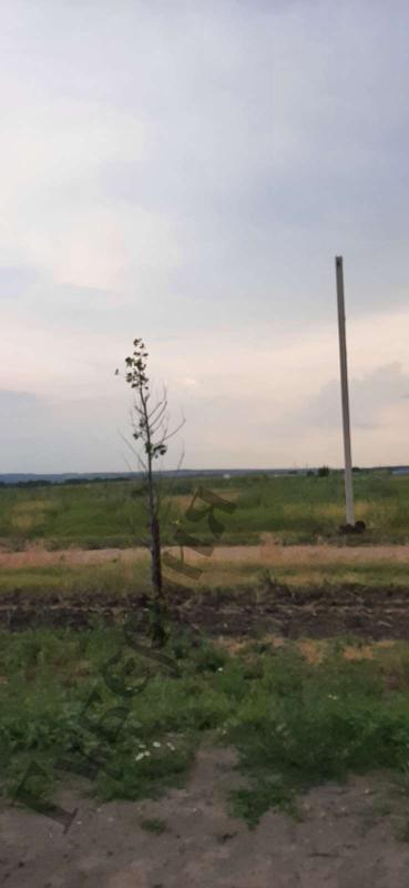 Коммерческая земля, Белгородская область, пос. Дубовое. Фото 1