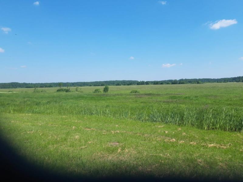 Коммерческая земля, Новгородская область, дер. Зуево. Фото 1