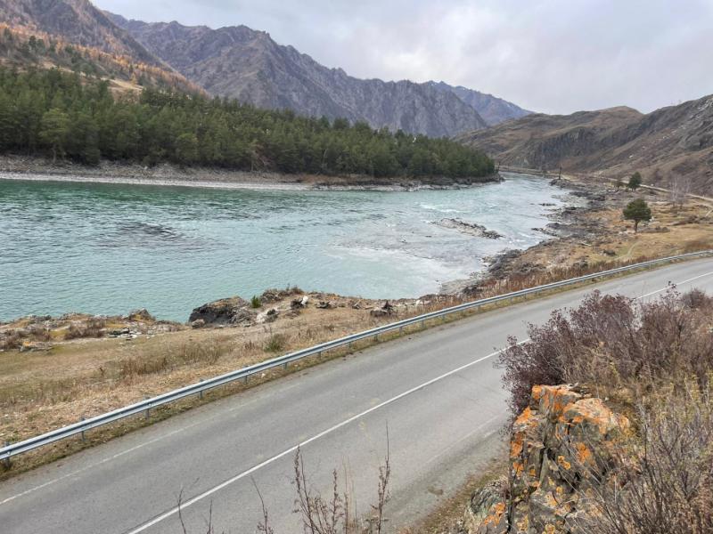 Коммерческая земля, 5 га.