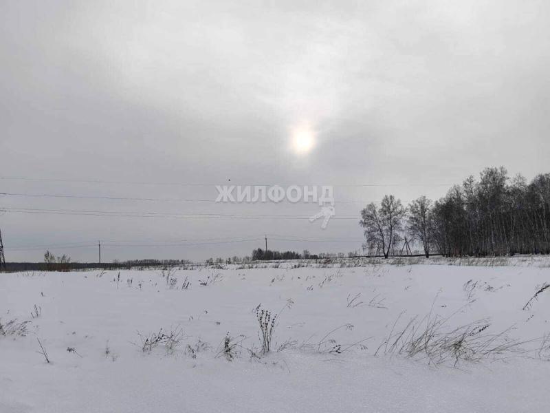 Коммерческая земля, 18 га.