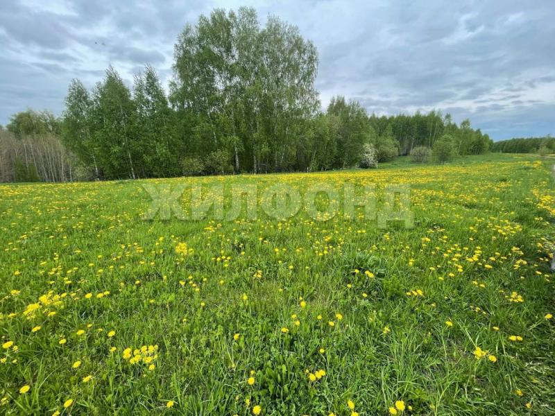 Коммерческая земля, 3.67 га.