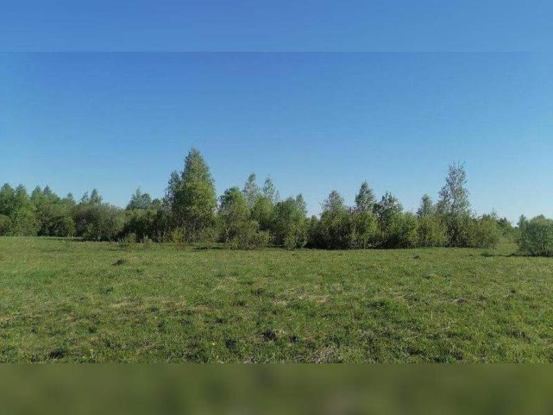 Коммерческая земля, 1.1 га.