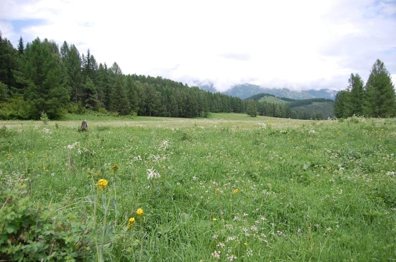 Коммерческая земля, 54.54 сот.