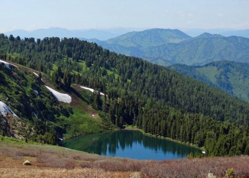 Коммерческая земля, 1.5605 га.