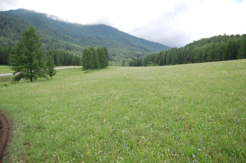 Коммерческая земля, 5.6961 га.