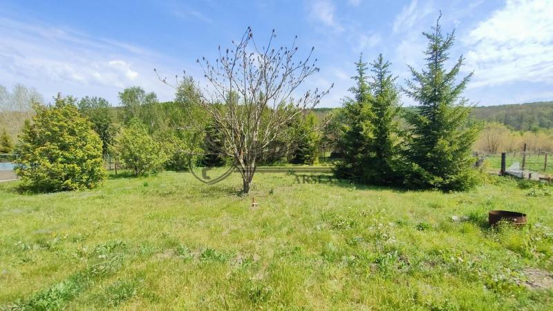 Коммерческая земля, 