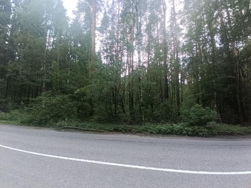 Коммерческая земля, Московская область, индустриальный комплекс Технопарк Пушкинский. Фото 1