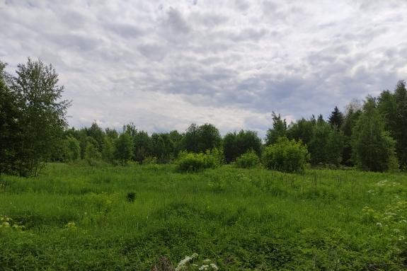 Коммерческая земля, 36 сот.