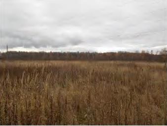 Коммерческая земля, Московская область, дер. Кузяево. Фото 1