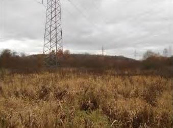 Коммерческая земля, Московская область, дер. Кузяево. Фото 4