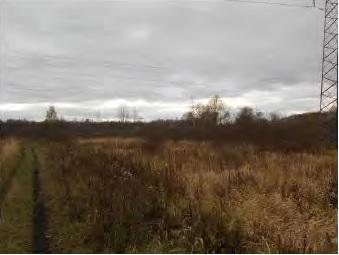 Коммерческая земля, Московская область, дер. Кузяево. Фото 3