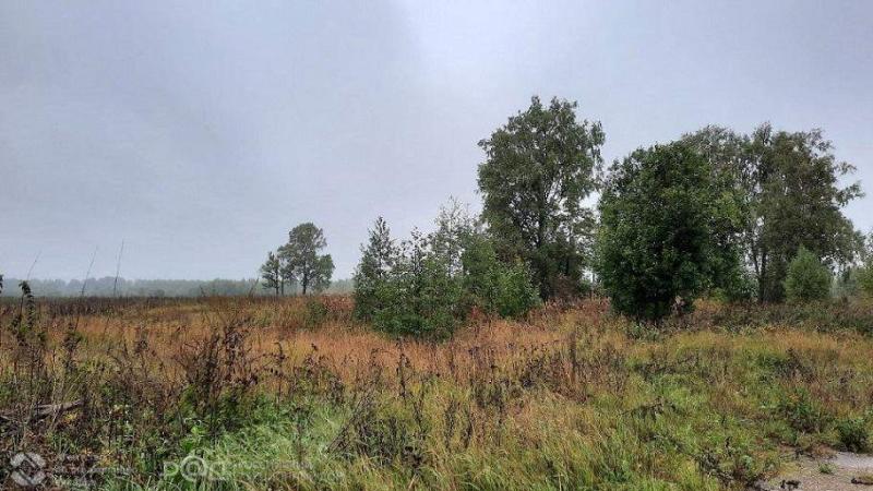 Коммерческая земля, 15.6886 га.