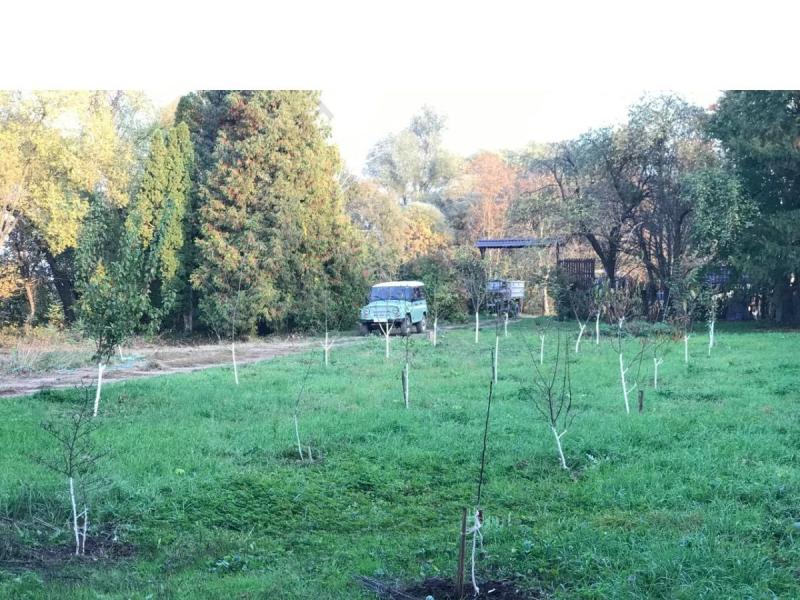 Коммерческая земля, 65 га.