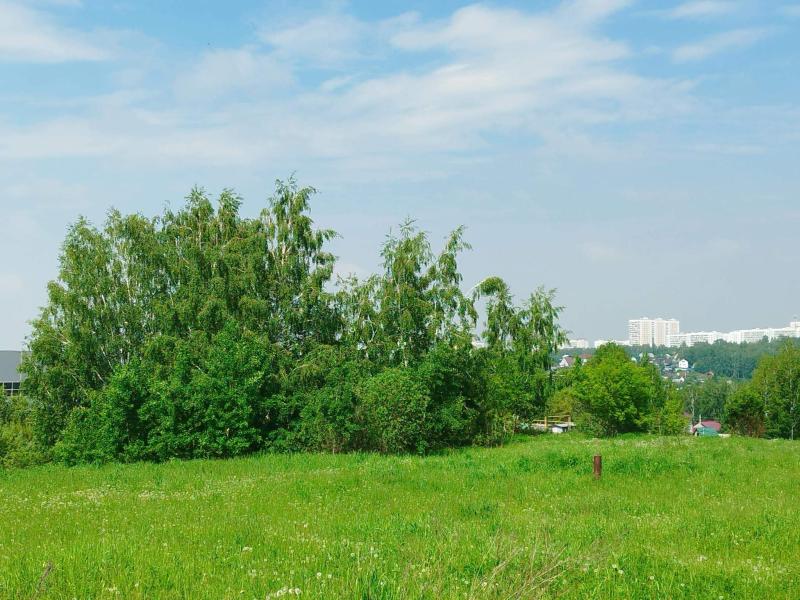 Коммерческая земля, Новосибирская область, Новосибирск, Кленовая улица. Фото 2