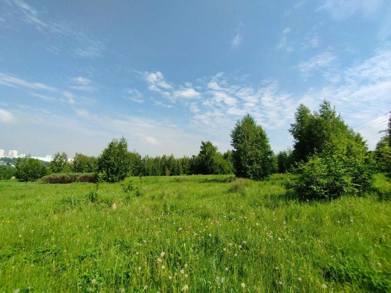 Коммерческая земля, Новосибирская область, Новосибирск, Кленовая улица. Фото 4
