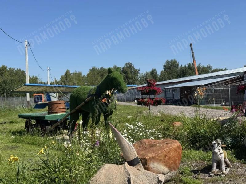Дом, 45 м², 29 сот.