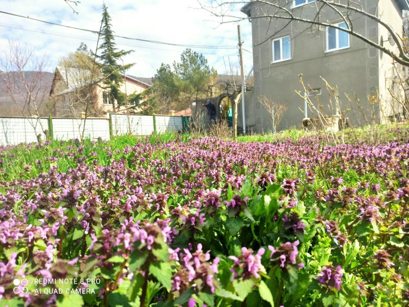 Рп5 кизиловое севастополь
