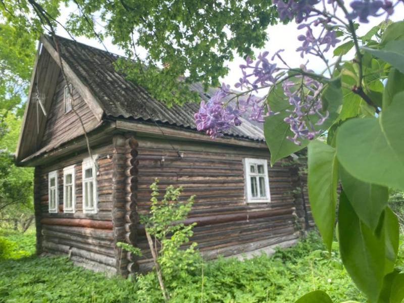 Дом, Новгородская область, дер. Косово, 51. Фото 1