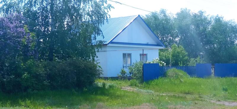 Дом, Самарская область, с. Малая Малышевка, Советская улица, 138. Фото 1