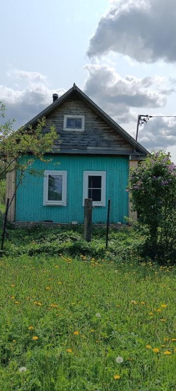 Дом, Новгородская область, дер. Хочени. Фото 1