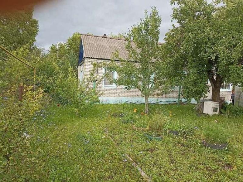 Дом, Рязанская область, рп. Шилово, Новая улица, 1. Фото 1